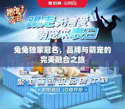 兔兔独家冠名,品牌与萌宠的完美融合之旅