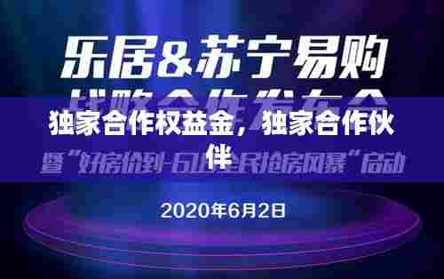 独家合作权益金，独家合作伙伴 