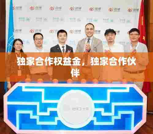独家合作权益金,独家合作伙伴