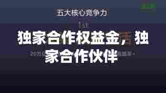 独家合作权益金,独家合作伙伴