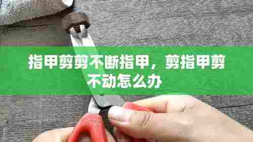 指甲剪剪不断指甲，剪指甲剪不动怎么办 