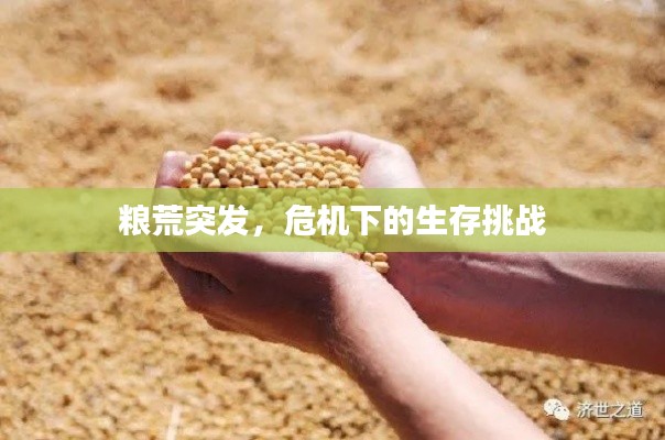 粮荒突发，危机下的生存挑战