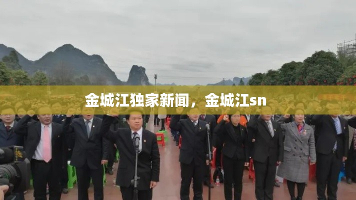 金城江独家新闻，金城江sn 