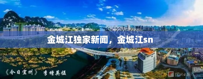 金城江独家新闻,金城江sn