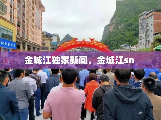 金城江独家新闻,金城江sn