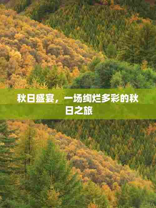 秋日盛宴,一场绚烂多彩的秋日之旅