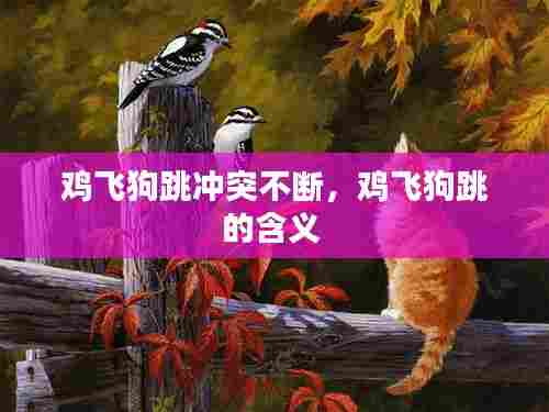 鸡飞狗跳冲突不断，鸡飞狗跳的含义 