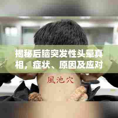 揭秘后脑突发性头晕真相，症状、原因及应对之策