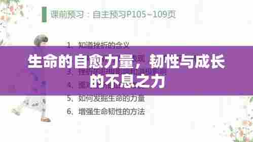 生命的自愈力量，韧性与成长的不息之力