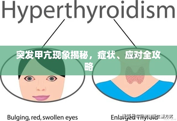 突发甲亢现象揭秘,症状、应对全攻略