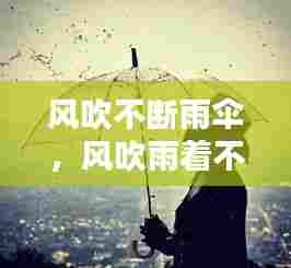 风吹不断雨伞,风吹雨着不肯退