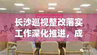长沙巡视整改落实工作深化推进，成效显著