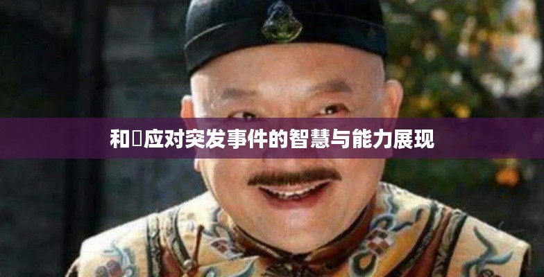 和珅应对突发事件的智慧与能力展现