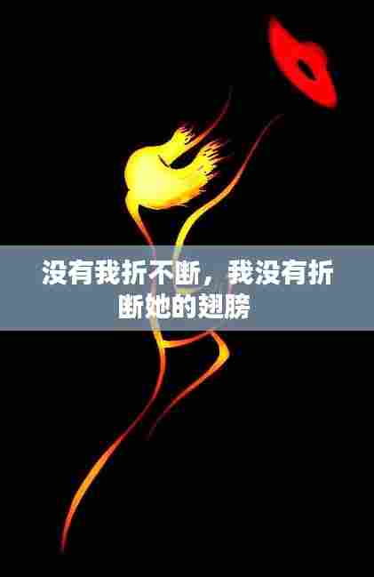 没有我折不断，我没有折断她的翅膀 