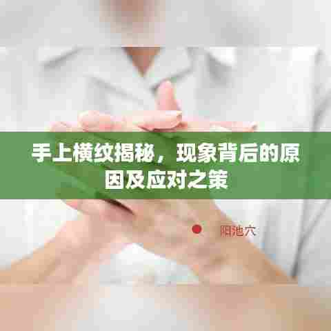 手上横纹揭秘，现象背后的原因及应对之策