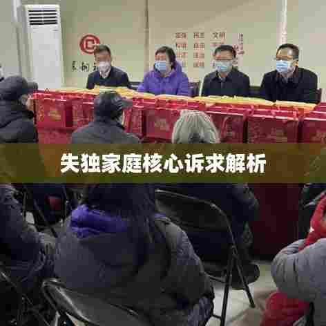 失独家庭核心诉求解析