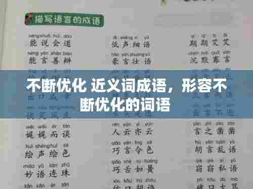 不断优化 近义词成语，形容不断优化的词语 