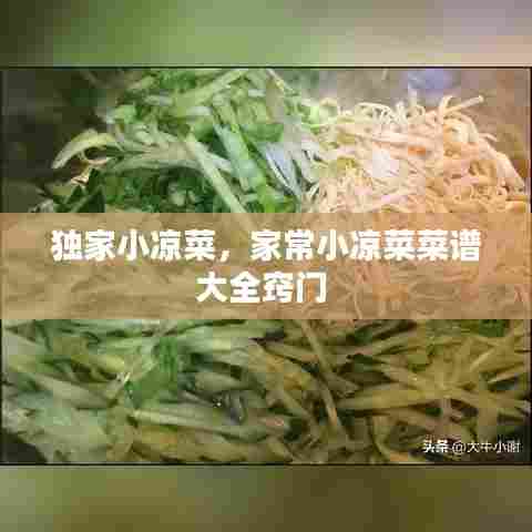独家小凉菜，家常小凉菜菜谱大全窍门 