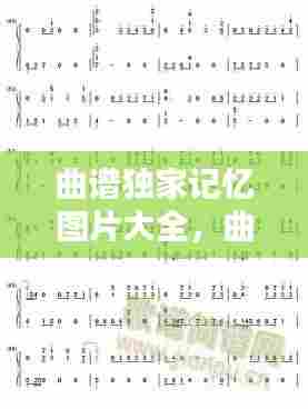 曲谱独家记忆图片大全，曲谱合集 