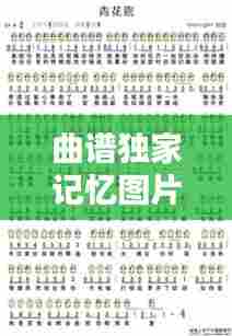 曲谱独家记忆图片大全,曲谱合集