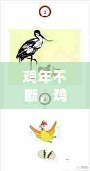 鸡年不断，鸡年之后的鸡年是什么意思 