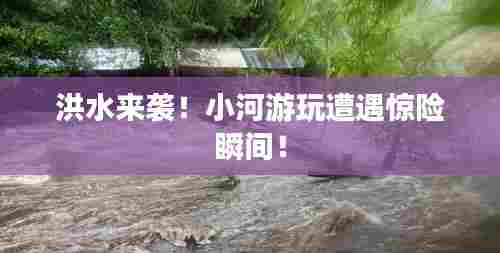 洪水来袭!小河游玩遭遇惊险瞬间!