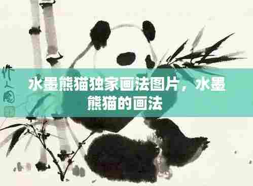 水墨熊猫独家画法图片,水墨熊猫的画法