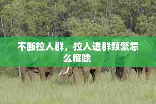 不断拉人群，拉人进群频繁怎么解除 