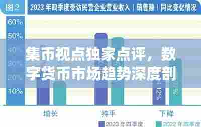 集币视点独家点评,数字货币市场趋势深度剖析