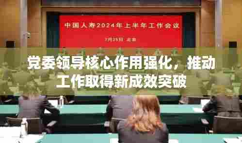 党委领导核心作用强化，推动工作取得新成效突破