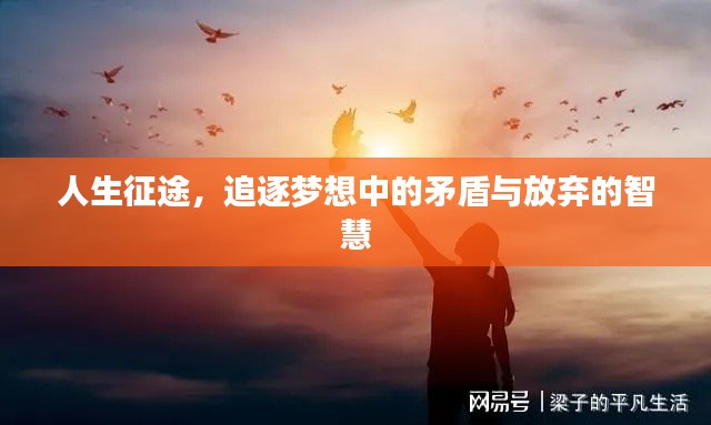 人生征途，追逐梦想中的矛盾与放弃的智慧
