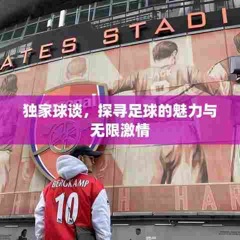 独家球谈,探寻足球的魅力与无限激情