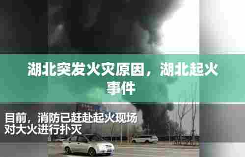 湖北突发火灾原因,湖北起火事件
