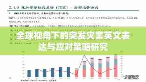 全球视角下的突发灾害英文表达与应对策略研究
