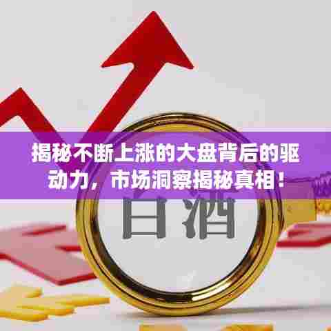 揭秘不断上涨的大盘背后的驱动力，市场洞察揭秘真相！