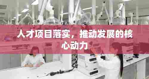 人才项目落实，推动发展的核心动力