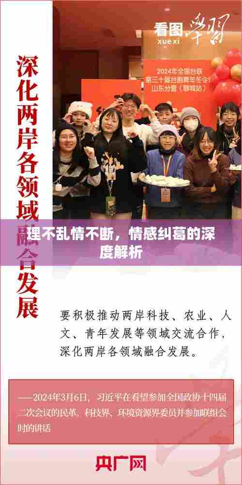 理不乱情不断，情感纠葛的深度解析