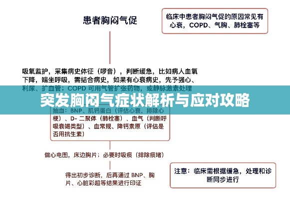突发胸闷气症状解析与应对攻略