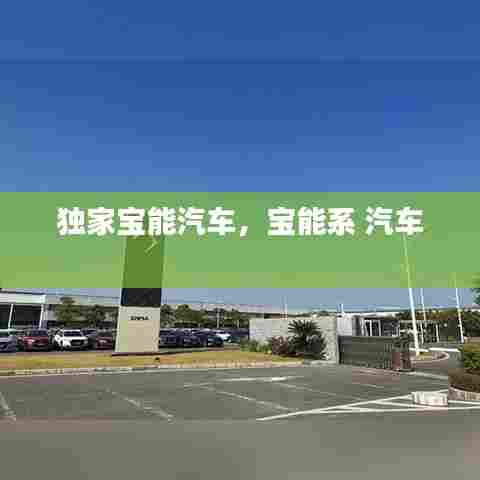 独家宝能汽车，宝能系 汽车 