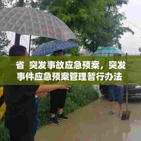 省 突发事故应急预案,突发事件应急预案管理暂行办法