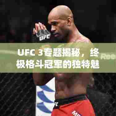 UFC 3专题揭秘，终极格斗冠军的独特魅力探索