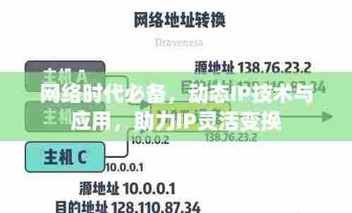 网络时代必备,动态IP技术与应用,助力IP灵活变换