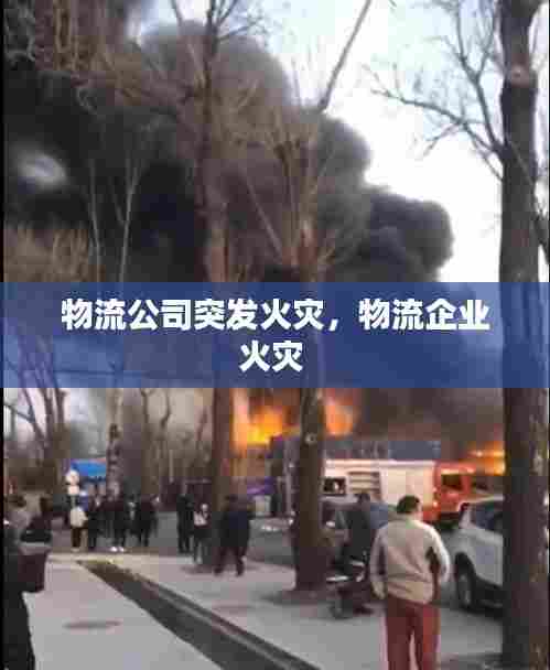 物流公司突发火灾，物流企业火灾 