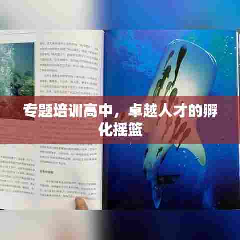 专题培训高中，卓越人才的孵化摇篮