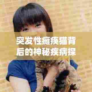 突发性瘫痪猫背后的神秘疾病探索之旅