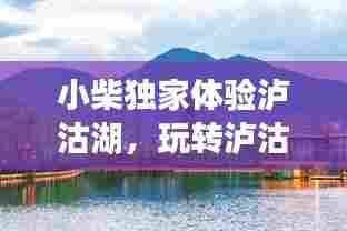 寒蝉僵鸟 第6页