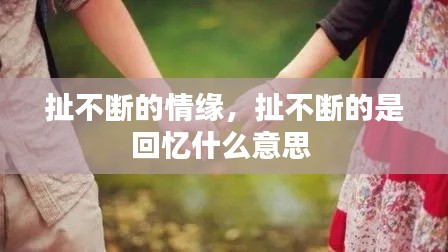 扯不断的情缘，扯不断的是回忆什么意思 