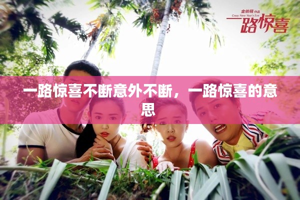 一路惊喜不断意外不断，一路惊喜的意思 