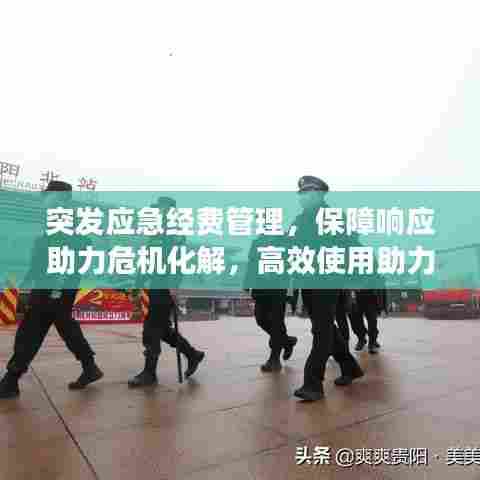 百不获一 第6页