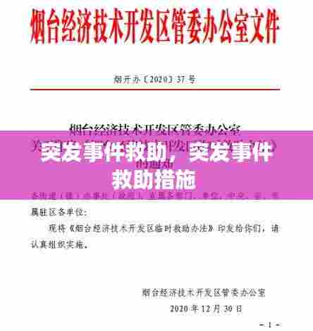 突发事件救助,突发事件救助措施